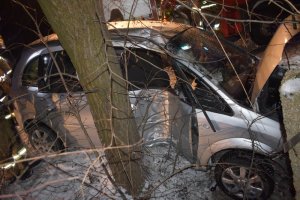 zdjęcie przedstawia opla, który uderzył w drzewo