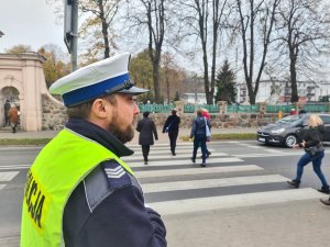 zdjęcie przedstawia policjanta ruchu drogowego stojącego przy przejściu dla pieszych i nadzorującego ruch
