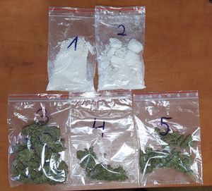 na zdjęciu widać 5 woreczków foliowych, w dwóch woreczkach znajduje się biały proszek, w trzech pozostałych zielony susz