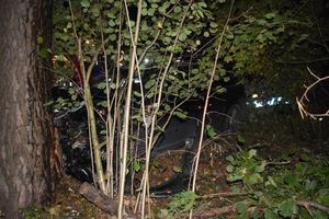 na zdjęciu widać rozbite audi, które uderzyło w drzewo